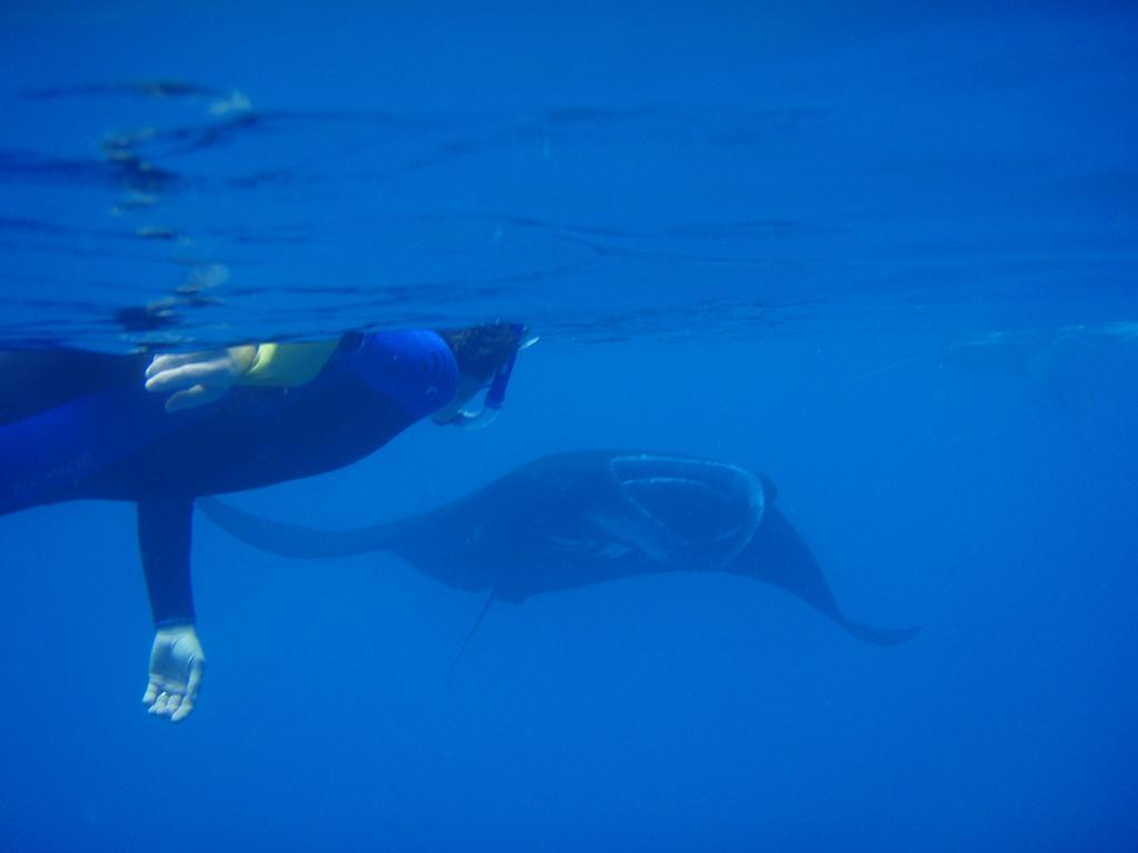 Mai Dive' Astrolabe Reef Resort Naqara Esterno foto