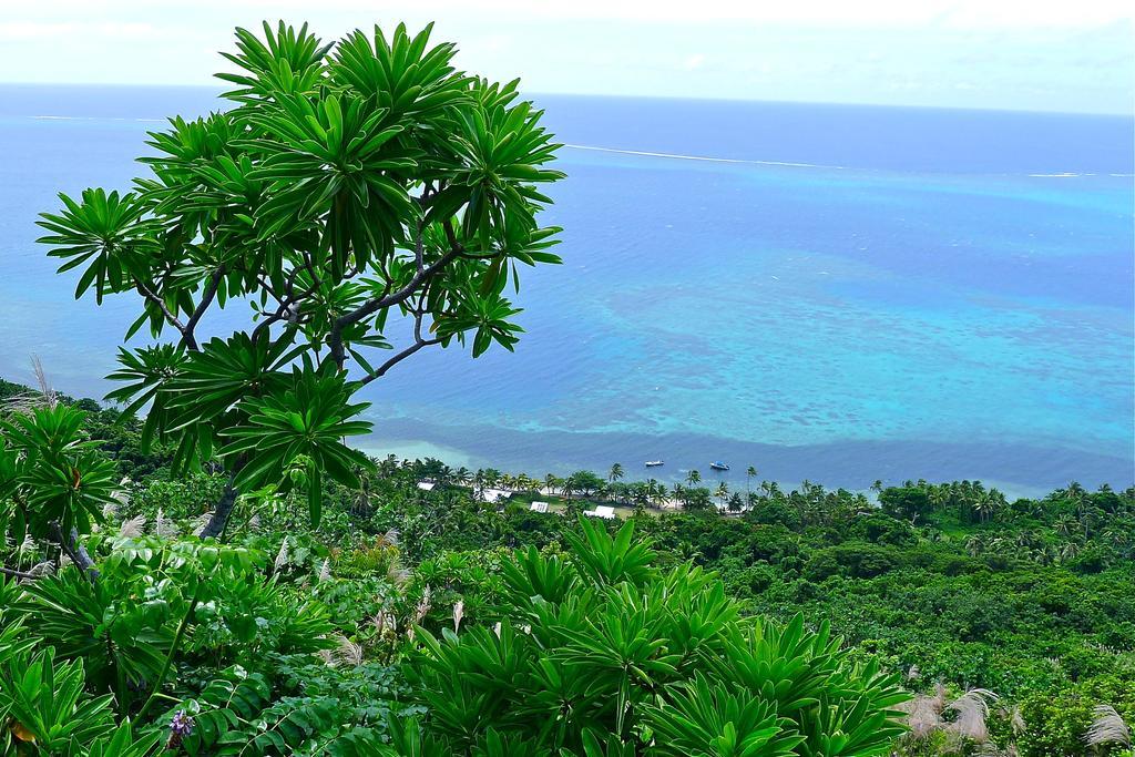 Mai Dive' Astrolabe Reef Resort Naqara Camera foto