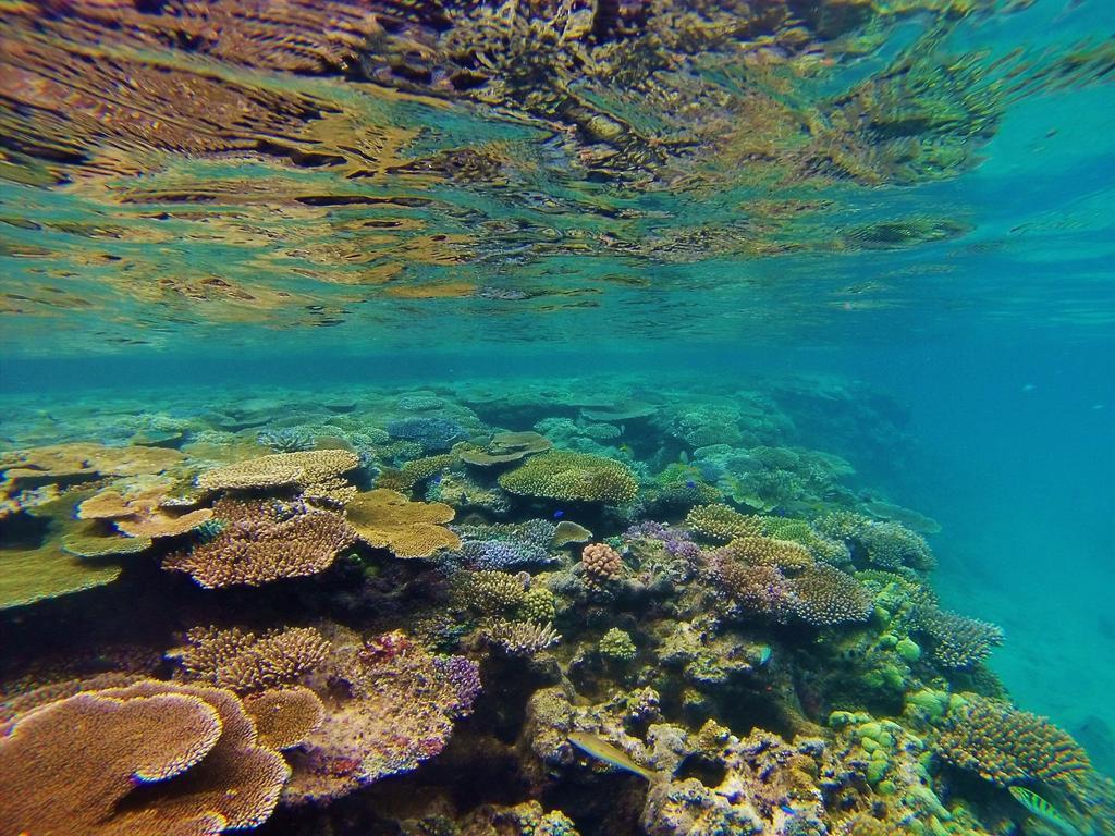 Mai Dive' Astrolabe Reef Resort Naqara Esterno foto