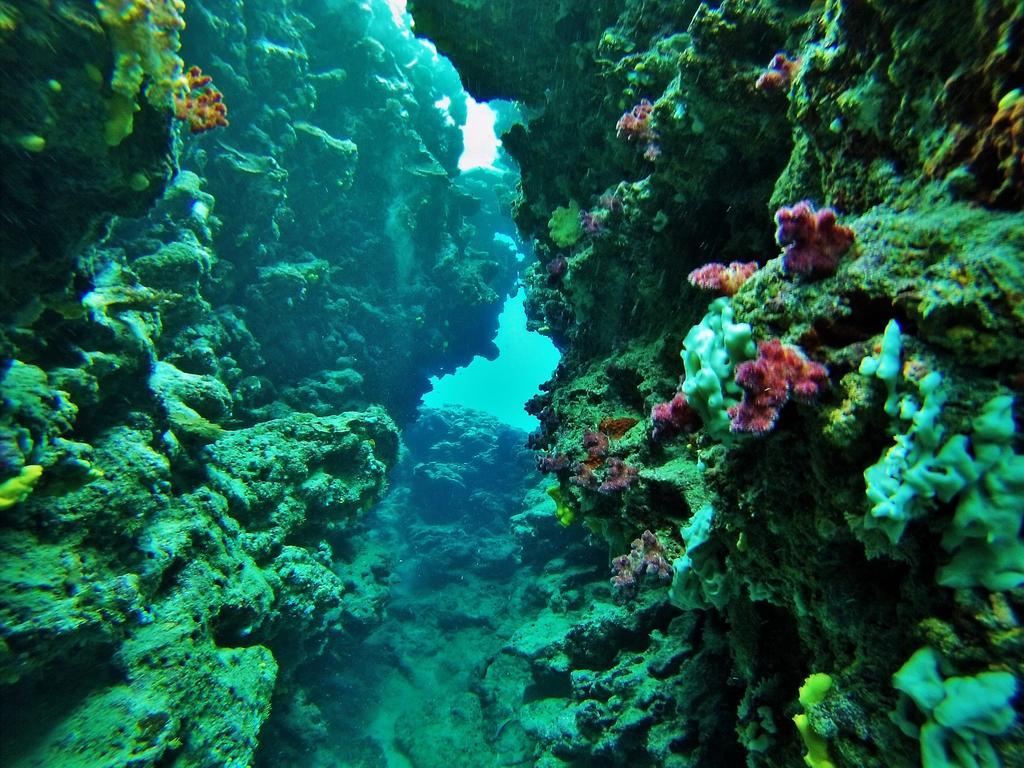 Mai Dive' Astrolabe Reef Resort Naqara Esterno foto