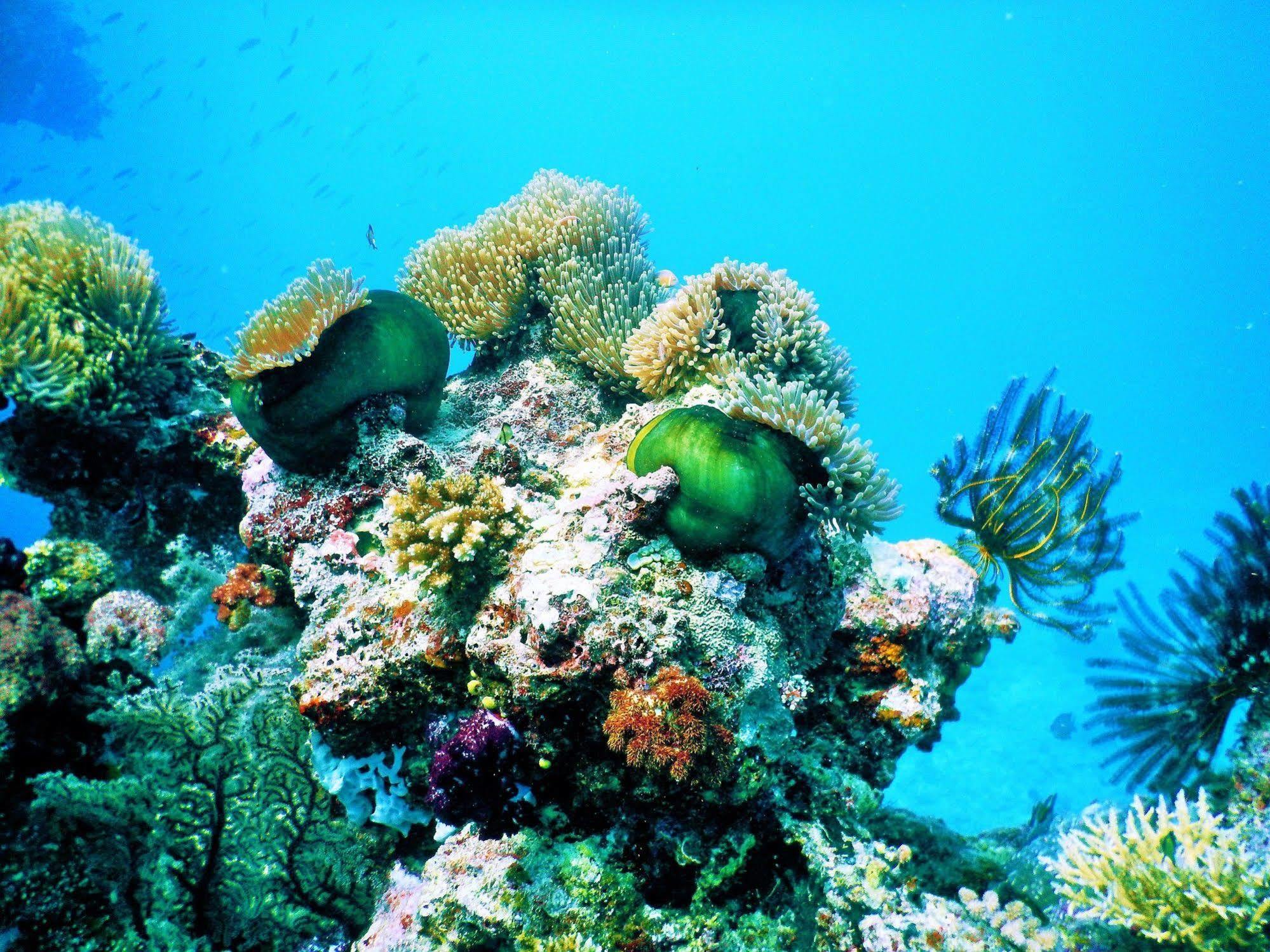 Mai Dive' Astrolabe Reef Resort Naqara Esterno foto
